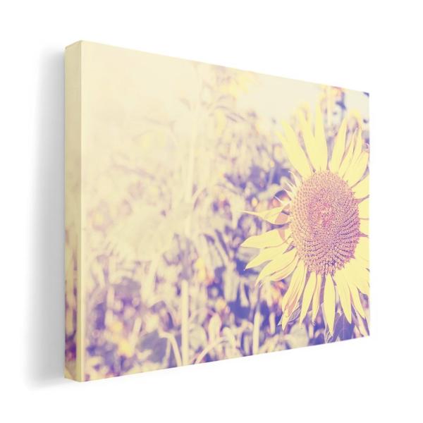 A[gpl G G  IׂTCY A1 A2 A3 A4 A5 6؂ `33 `45 011309  ԁ@Ђ܂@ʐ^