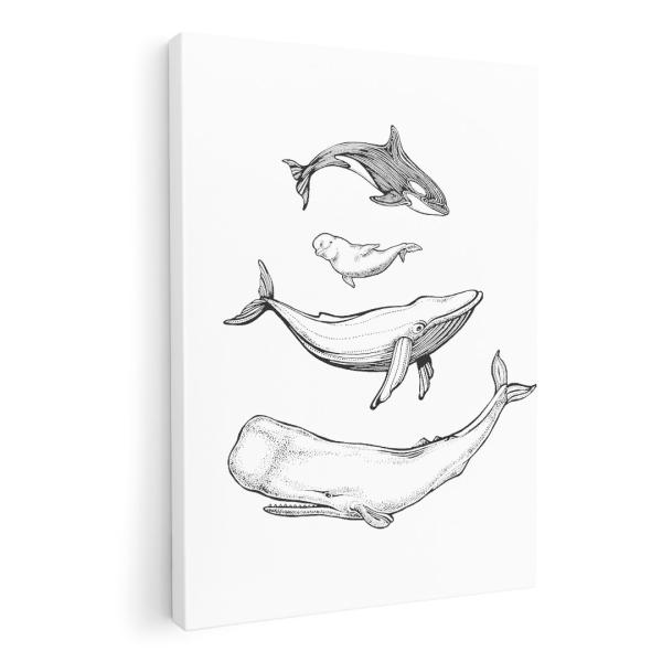 �A�[�g�p�l�� �G �G�� ���� �I�ׂ�T�C�Y A1 A2 A3 A4 A5 6�؂� �����`33 �����`45 011427  �C�@�������@�A�j�}��