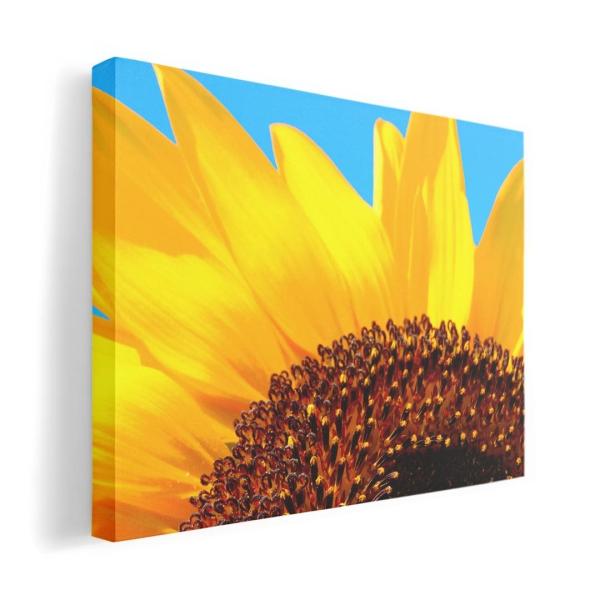 A[gpl G G  IׂTCY A1 A2 A3 A4 A5 6؂ `33 `45 011439  ԁ@Ђ܂@ʐ^