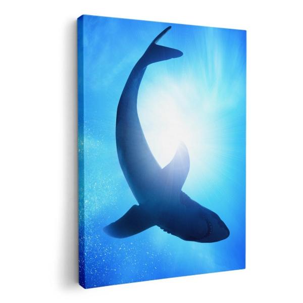 A[gpl G G  IׂTCY A1 A2 A3 A4 A5 6؂ `33 `45 012652  @@C