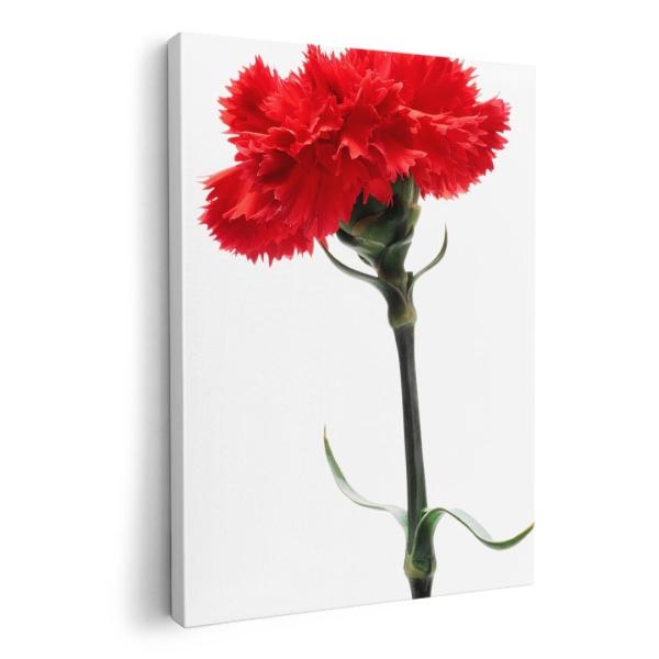 A[gpl G G  IׂTCY A1 A2 A3 A4 A5 6؂ `33 `45 012928  ̓@J[l[V@