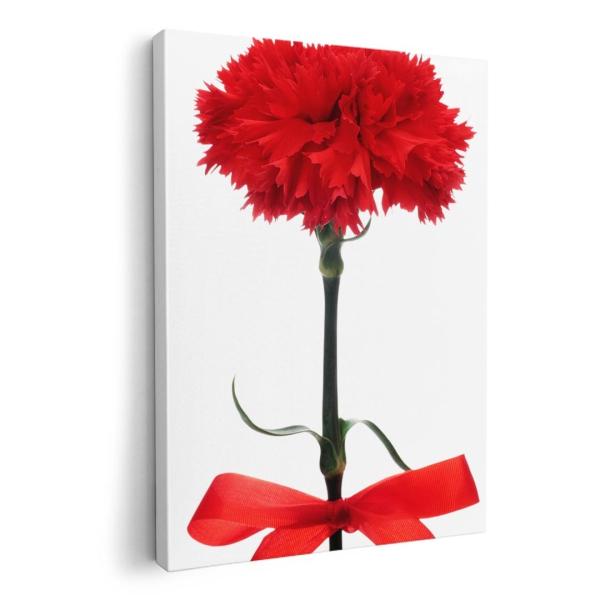 A[gpl G G  IׂTCY A1 A2 A3 A4 A5 6؂ `33 `45 012929  ̓@J[l[V@