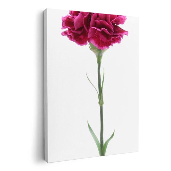 A[gpl G G  IׂTCY A1 A2 A3 A4 A5 6؂ `33 `45 012933  ̓@J[l[V@