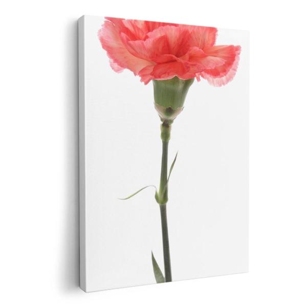 A[gpl G G  IׂTCY A1 A2 A3 A4 A5 6؂ `33 `45 012935  ̓@J[l[V@