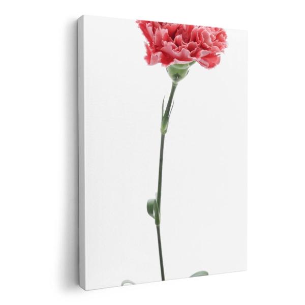 A[gpl G G  IׂTCY A1 A2 A3 A4 A5 6؂ `33 `45 012937  ̓@J[l[V@