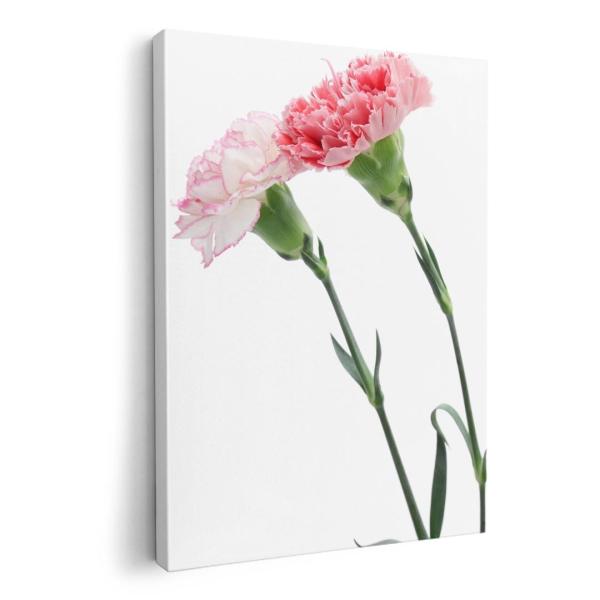 A[gpl G G  IׂTCY A1 A2 A3 A4 A5 6؂ `33 `45 012938  ̓@J[l[V@