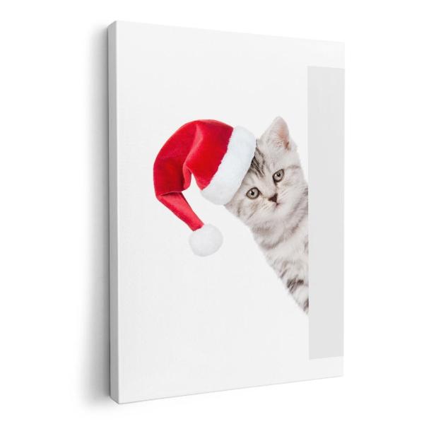 A[gpl G G  IׂTCY A1 A2 A3 A4 A5 6؂ `33 `45 013836  NX}X@L@