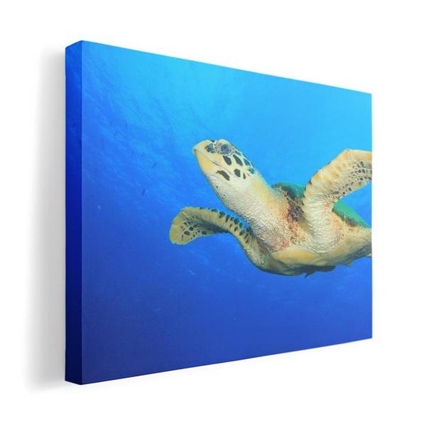 A[gpl G G  IׂTCY A1 A2 A3 A4 A5 6؂ `33 `45 014050  C@J@