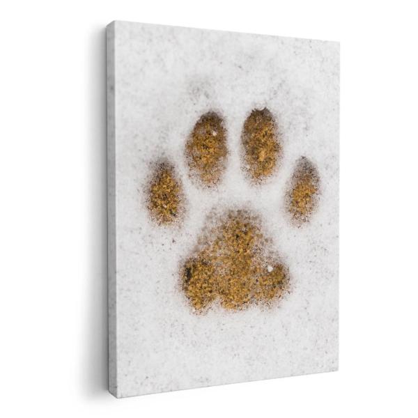 A[gpl G G  IׂTCY A1 A2 A3 A4 A5 6؂ `33 `45 014113  @