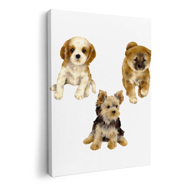 A[gpl G G  IׂTCY A1 A2 A3 A4 A5 6؂ `33 `45 014619  @@Aj}