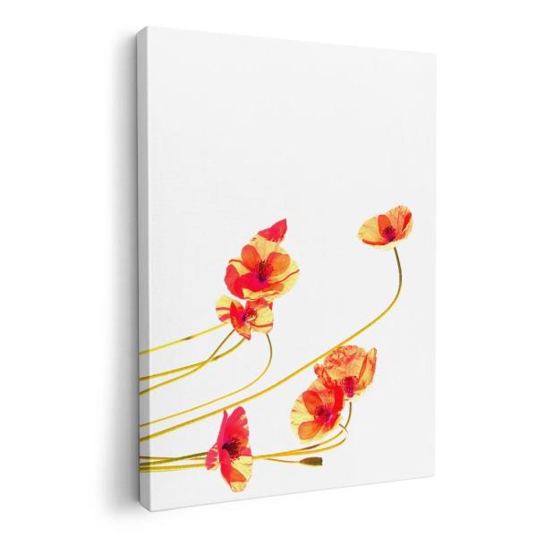 A[gpl G G  IׂTCY A1 A2 A3 A4 A5 6؂ `33 `45 014725  ԁ@t[@IW