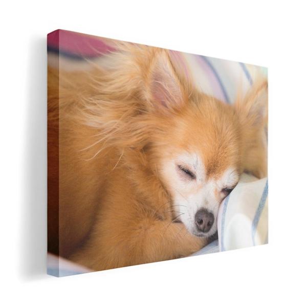 A[gpl G G  IׂTCY A1 A2 A3 A4 A5 6؂ `33 `45 014826  @`@ʐ^