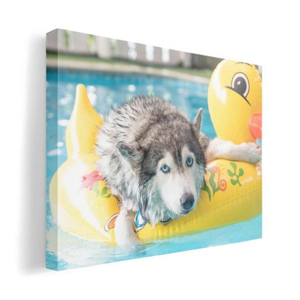 A[gpl G G  IׂTCY A1 A2 A3 A4 A5 6؂ `33 `45 014842  @VxAnXL[@Ђ悱@v[@