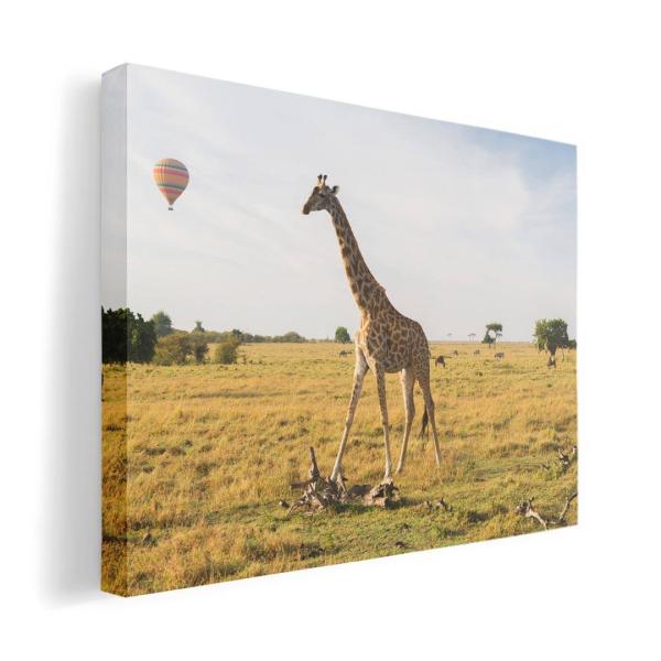 A[gpl G G  IׂTCY A1 A2 A3 A4 A5 6؂ `33 `45 014936  @L@R@