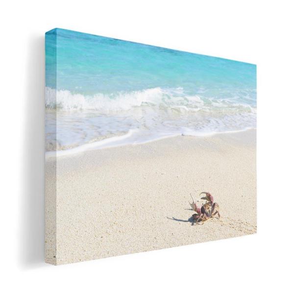 A[gpl G G  IׂTCY A1 A2 A3 A4 A5 6؂ `33 `45 014963  i@R@wi@C@C