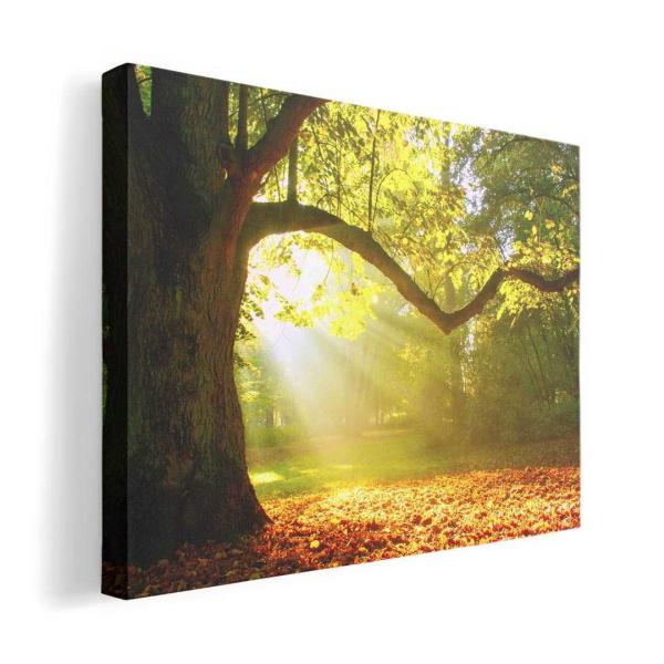 A[gpl G G  IׂTCY A1 A2 A3 A4 A5 6؂ `33 `45 014991  iF@R@i@ʐ^@؁@