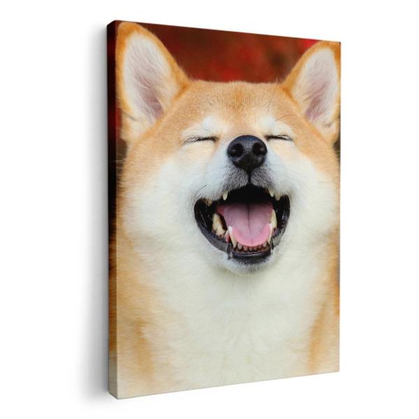 A[gpl G G  IׂTCY A1 A2 A3 A4 A5 6؂ `33 `45 015611  @킢@Č