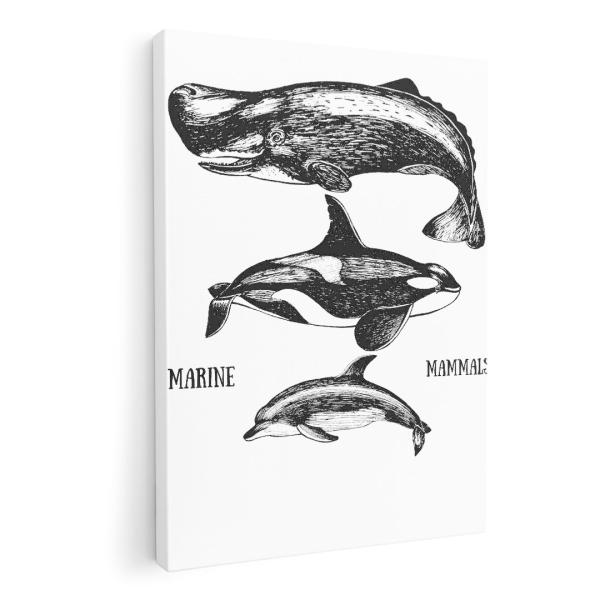 A[gpl G G  IׂTCY A1 A2 A3 A4 A5 6؂ `33 `45 015819  @@V`