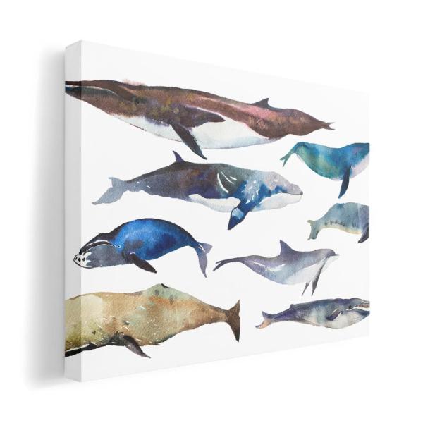 A[gpl G G  IׂTCY A1 A2 A3 A4 A5 6؂ `33 `45 015836  @C@@V`