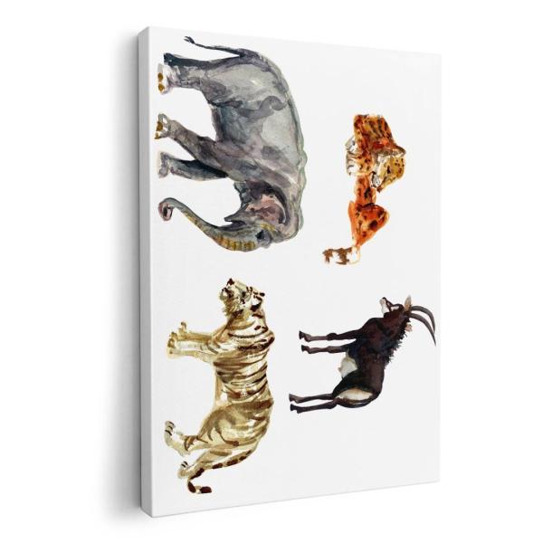 A[gpl G G  IׂTCY A1 A2 A3 A4 A5 6؂ `33 `45 015881  @animal@Aj}