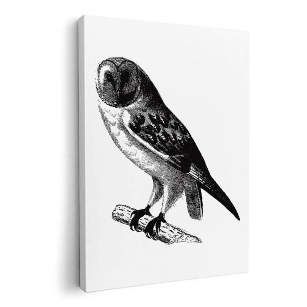 A[gpl G G  IׂTCY A1 A2 A3 A4 A5 6؂ `33 `45 017479 nEB@z[ A@tNE@