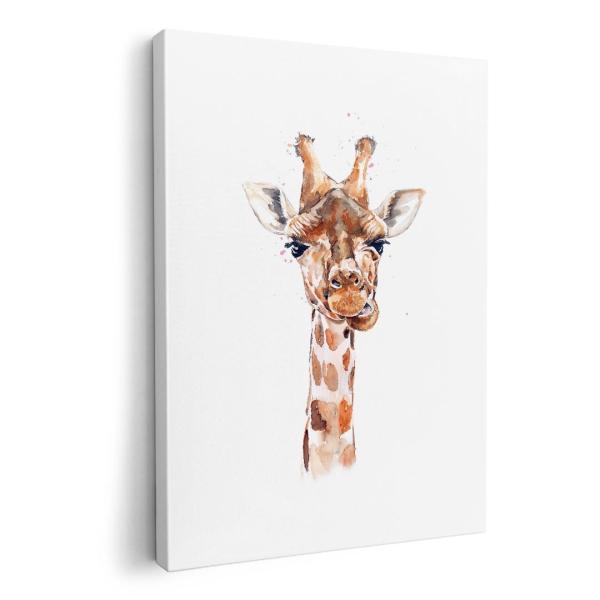 A[gpl G G  IׂTCY A1 A2 A3 A4 A5 6؂ `33 `45 017749 Aj} iف@@Giraffe@