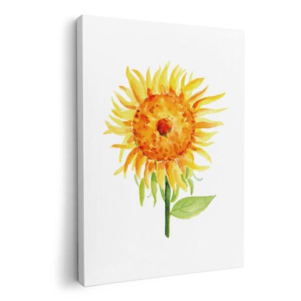 A[gpl G G  IׂTCY A1 A2 A3 A4 A5 6؂ `33 `45 017807 ā@ Ђ܂@ā@Tt[