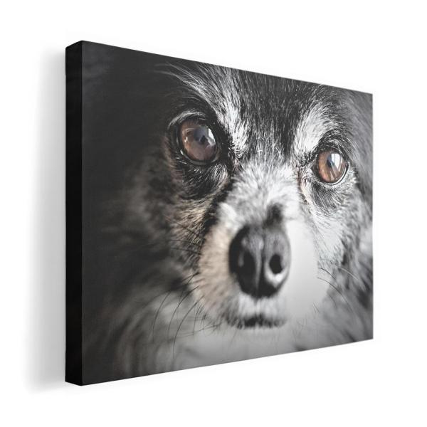 A[gpl G G  IׂTCY A1 A2 A3 A4 A5 6؂ `33 `45 018313   ʐ^