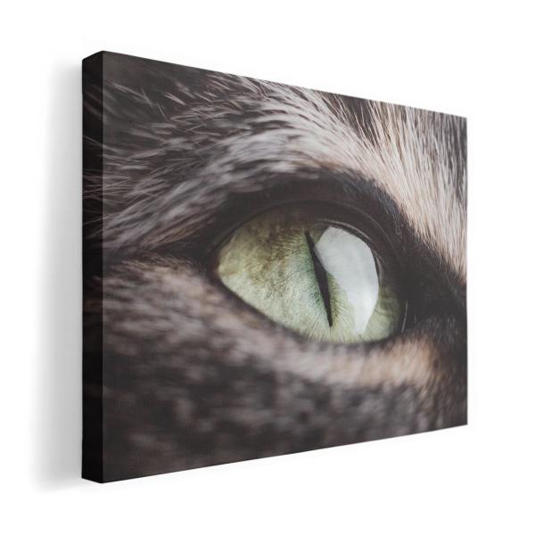 A[gpl G G  IׂTCY A1 A2 A3 A4 A5 6؂ `33 `45 018315   ʐ^