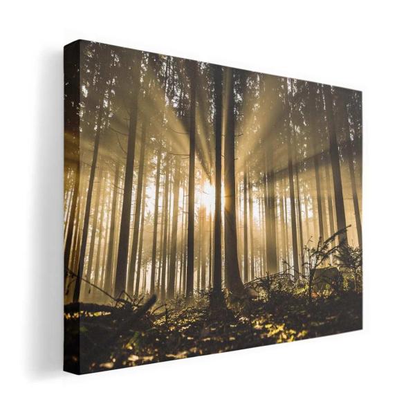 A[gpl G G  IׂTCY A1 A2 A3 A4 A5 6؂ `33 `45 018321  X ʐ^