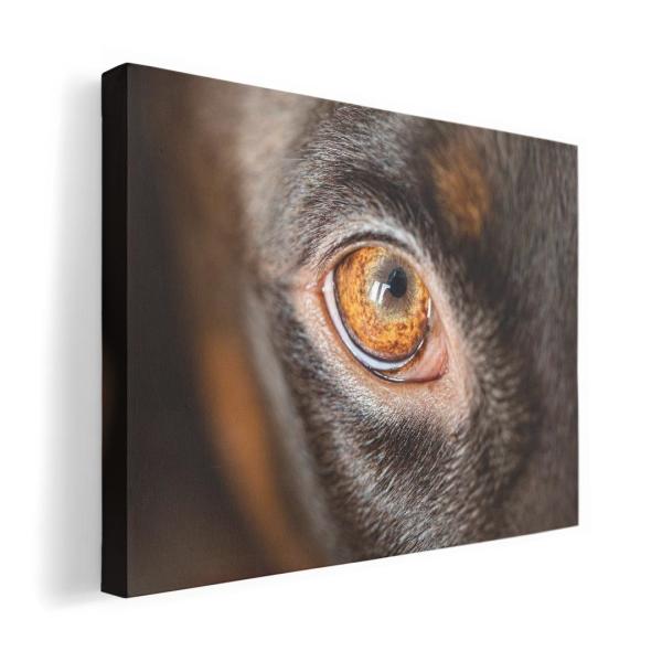 A[gpl G G  IׂTCY A1 A2 A3 A4 A5 6؂ `33 `45 018325   ʐ^