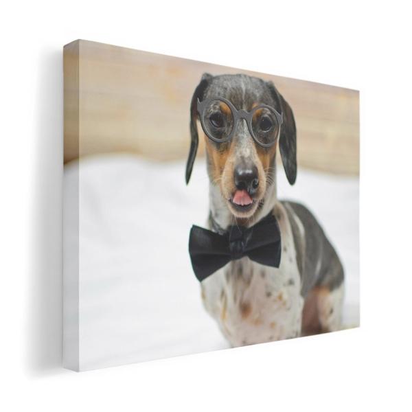 A[gpl G G  IׂTCY A1 A2 A3 A4 A5 6؂ `33 `45 018326   ʐ^