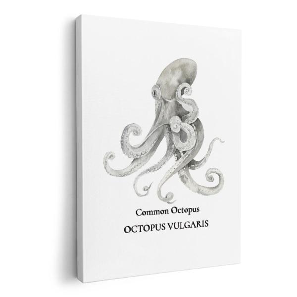 A[gpl G G  IׂTCY A1 A2 A3 A4 A5 6؂ `33 `45 019730 fUC C̐ ^R octopus