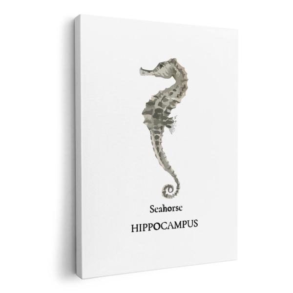 �A�[�g�p�l�� �G �G�� ���� �I�ׂ�T�C�Y A1 A2 A3 A4 A5 6�؂� �����`33 �����`45 019734 �f�U�C�� �C�̐��� Seahorse �^�c�m�I�g�V�S