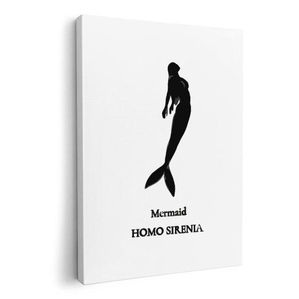 A[gpl G G  IׂTCY A1 A2 A3 A4 A5 6؂ `33 `45 019739 fUC C̐ l Mermaid