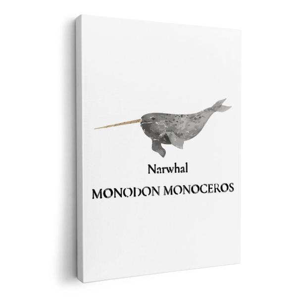 A[gpl G G  IׂTCY A1 A2 A3 A4 A5 6؂ `33 `45 019746 fUC C̐ CbJN narwhal