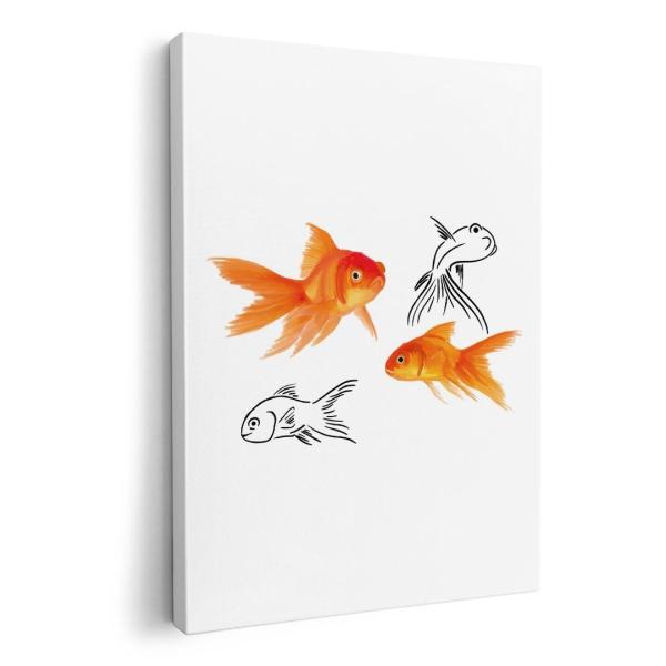 A[gpl G G  IׂTCY A1 A2 A3 A4 A5 6؂ `33 `45 019751 fUC  Goldfish 