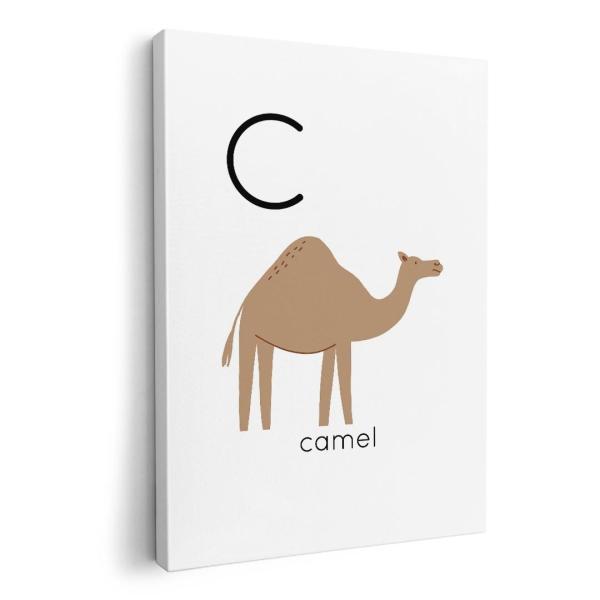 A[gpl G G  IׂTCY A1 A2 A3 A4 A5 6؂ `33 `45 019934  At@xbg C camel N_ L