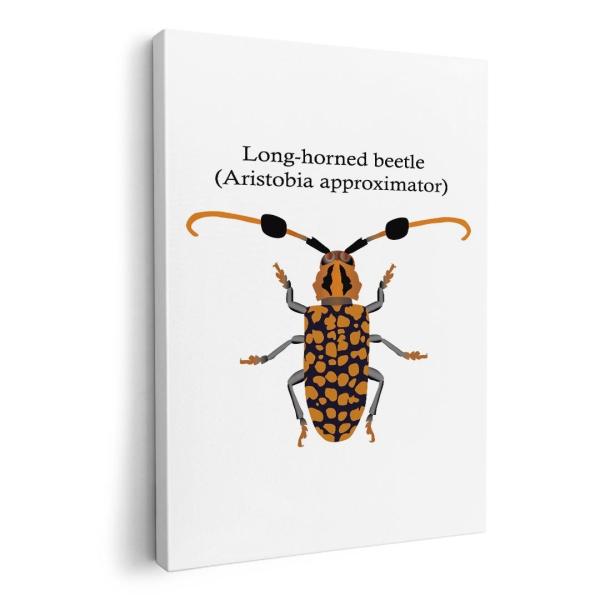 A[gpl G G  IׂTCY A1 A2 A3 A4 A5 6؂ `33 `45 020013   XgrAߎ