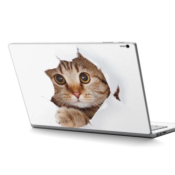 Surface Book2 13.5inch  C` pXLV[ Microsoft T[tFX T[tBX  L@@ʐ^ 002783