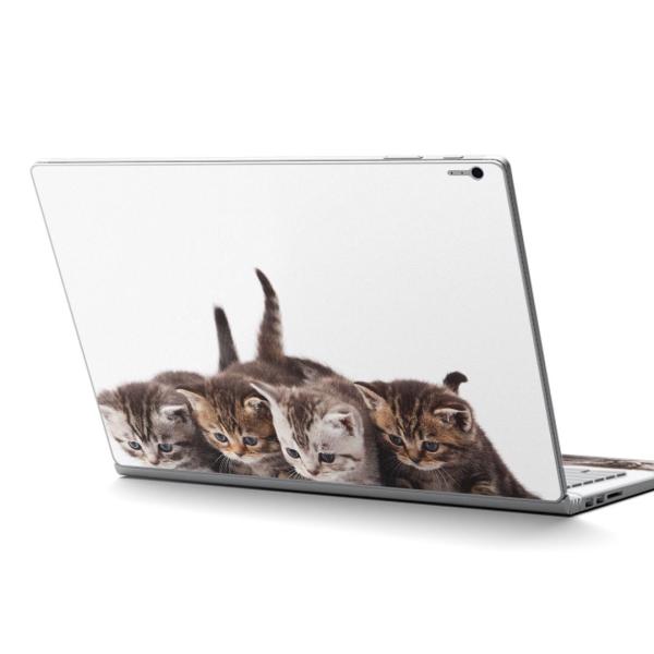 Surface Book2 13.5inch  C` pXLV[ Microsoft T[tFX T[tBX  ʐ^@@L@˂ 005928