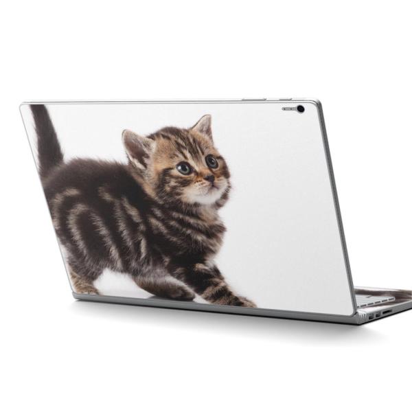 Surface Book2 13.5inch  C` pXLV[ Microsoft T[tFX T[tBX  ʐ^@@L@˂ 005930