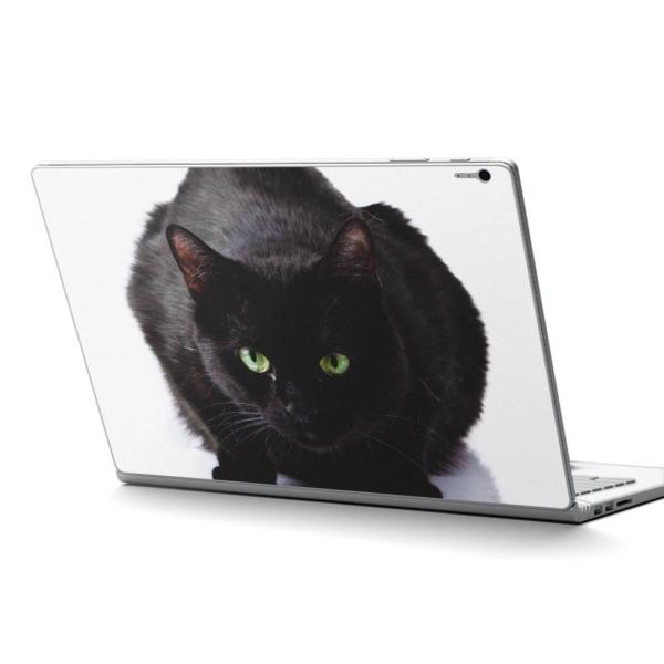 Surface Book2 13.5inch  C` pXLV[ Microsoft T[tFX T[tBX  ʐ^@@˂@L 005958