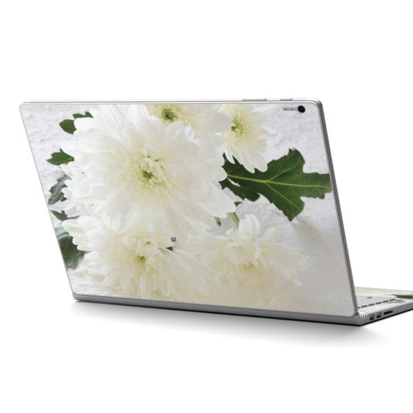 Surface Book2 13.5inch  C` pXLV[ Microsoft T[tFX T[tBX  ԁ@^@ 014861