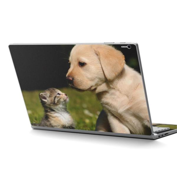 Surface Book2 15inch  C` pXLV[ Microsoft T[tFX T[tBX  @L@@ʐ^ 002794