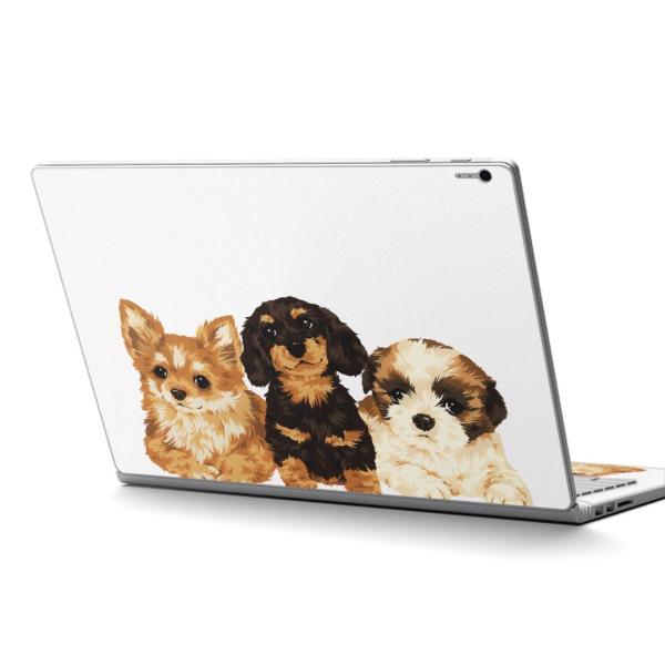 Surface Book2 15inch  C` pXLV[ Microsoft T[tFX T[tBX  @@CXg 005734