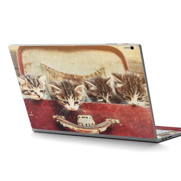 Surface Book2 15inch  C` pXLV[ Microsoft T[tFX T[tBX  ʐ^@L@lR@Jo@ 008717