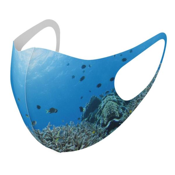 }XN 2Zbg fUC 􂦂 |GXe Y fB[X j  ǂ WjA c Aw C@@R@TS 000060