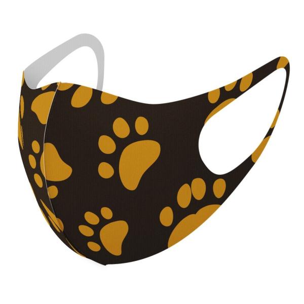 }XN 2Zbg fUC 􂦂 |GXe Y fB[X j  ǂ WjA c Aw Ձ@@͗l 000062