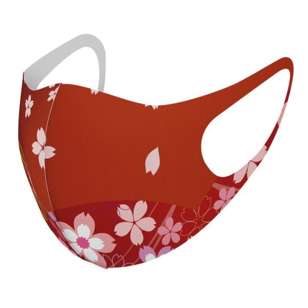 }XN 2Zbg fUC 􂦂 |GXe Y fB[X j  ǂ WjA c Aw ԁ@@a 000081